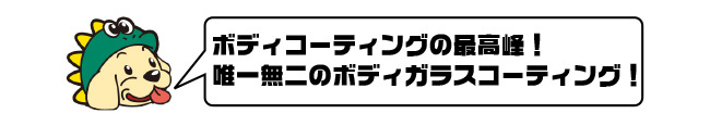 ボディコーティング