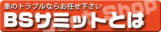ＢＳサミットとは