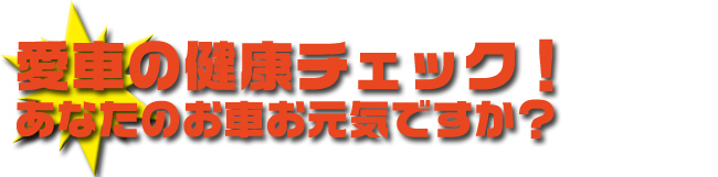 愛車の健康チェック