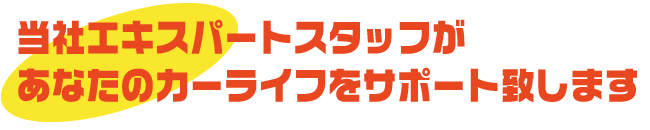 スタッフ紹介